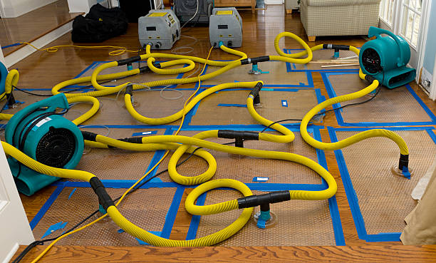 Professional Flood Damage Restoration technician working in Orland, ME